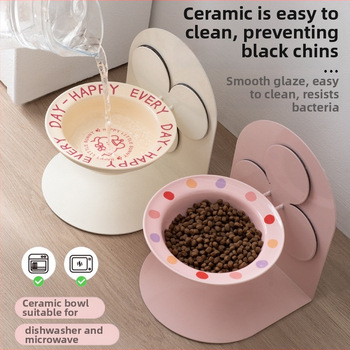 Keraamiline kõrge jalaga kauss, eemaldatav lemmikloomade kassikauss, kassi- ja koerakauss, kaelalülide kaitse, löögikindel kassitoidukauss, kallutatav kauss