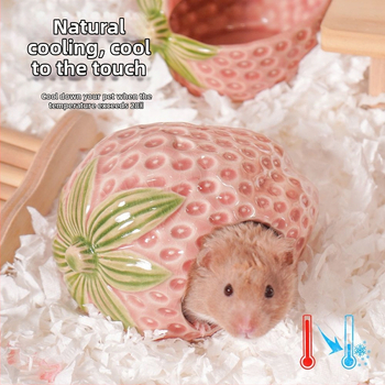 Bogyós kerámia fészek Hörcsögfészek Aranymedve menedékfészek Nagy, hűsítő nyári, egész évszakos univerzális tereprendezési iglu