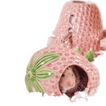 Κεραμική φωλιά με μούρα, φωλιά χάμστερ, φωλιά καταφυγίου χρυσής αρκούδας, μεγάλη δροσερή καλοκαιρινή, πανεπιστήμιο, ιγκλού τοπίου γενικής χρήσης