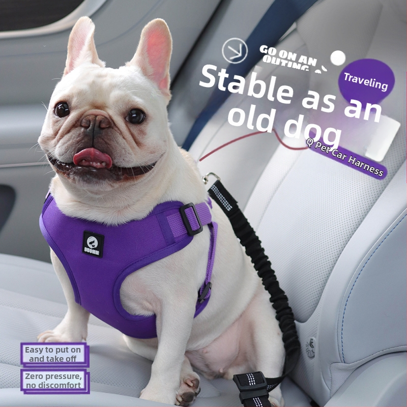 Hulgimüük lemmikloomade auto rinnal seljaga sõitmiseks hädapidurdus pööramine lendamise vastane koera veojõu köis mugav nullrõhuga koera rinnal seljal