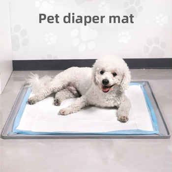 Határokon átnyúló szilikon kisállat pelenkabetét mosható, újrafelhasználható edzőpárna eldobható pelenkarögzítő párna