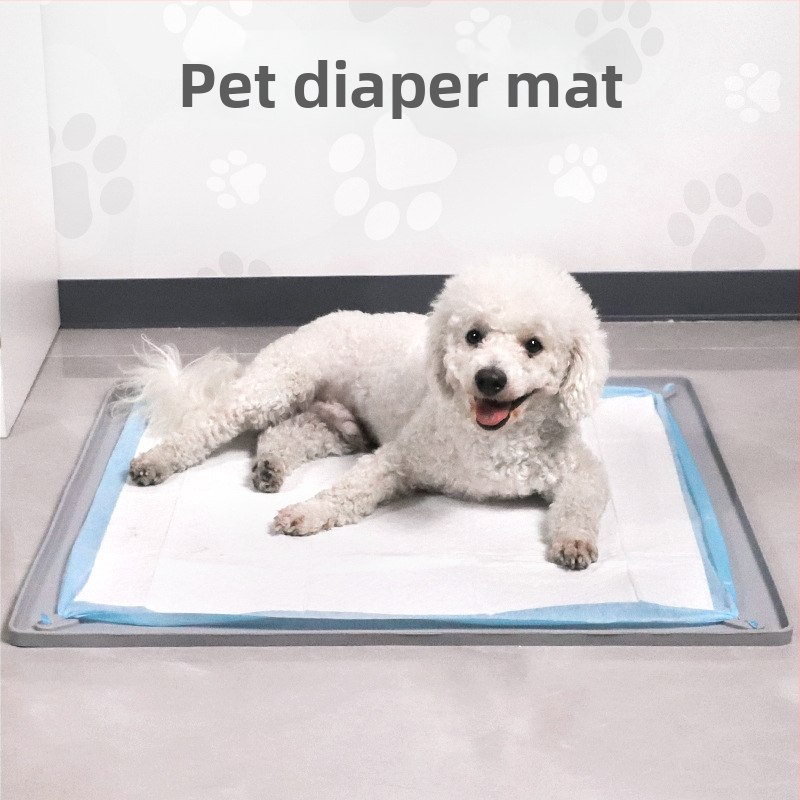 Határokon átnyúló szilikon kisállat pelenkabetét mosható, újrafelhasználható edzőpárna eldobható pelenkarögzítő párna