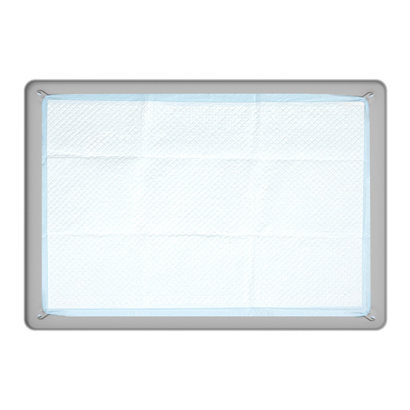 Határokon átnyúló szilikon kisállat pelenkabetét mosható, újrafelhasználható edzőpárna eldobható pelenkarögzítő párna