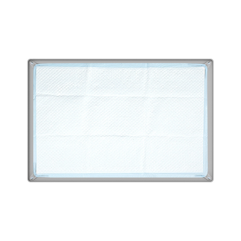 Határokon átnyúló szilikon kisállat pelenkabetét mosható, újrafelhasználható edzőpárna eldobható pelenkarögzítő párna