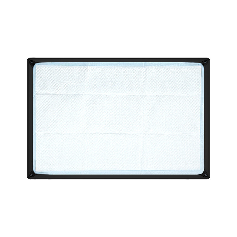 Határokon átnyúló szilikon kisállat pelenkabetét mosható, újrafelhasználható edzőpárna eldobható pelenkarögzítő párna