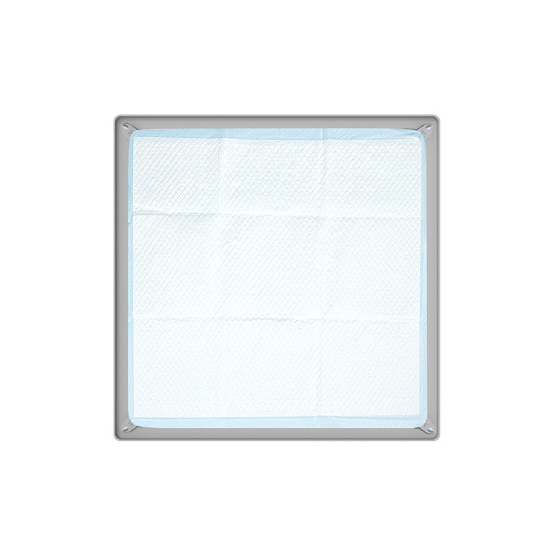 Határokon átnyúló szilikon kisállat pelenkabetét mosható, újrafelhasználható edzőpárna eldobható pelenkarögzítő párna