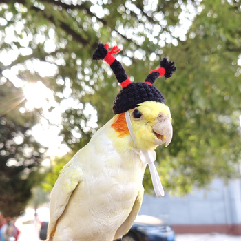 Тигрова кожа Xuanfeng шапка за папагал хамстер шапка за папагал домашен любимец малка шапка аксесоари за глава на птица шапка