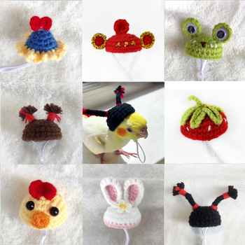 Тигрова кожа Xuanfeng шапка за папагал хамстер шапка за папагал домашен любимец малка шапка аксесоари за глава на птица шапка