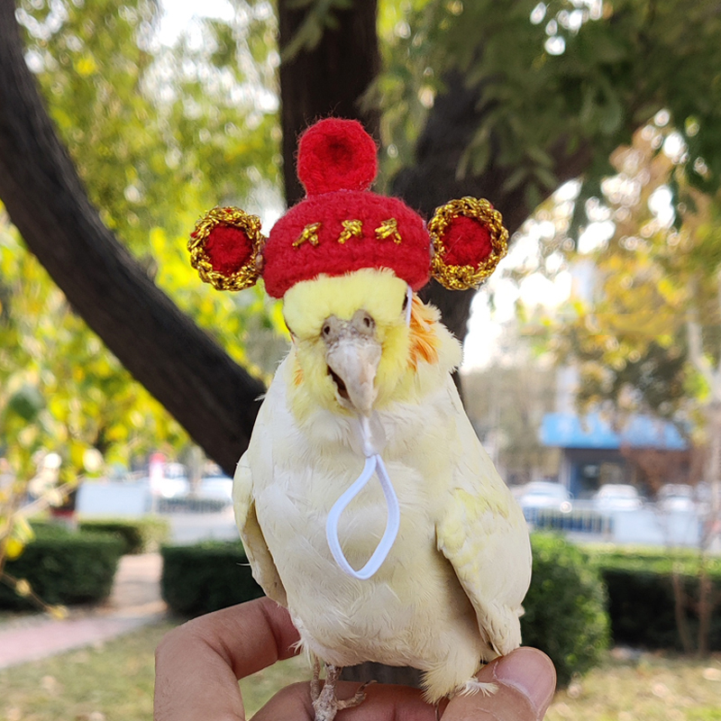 Тигрова кожа Xuanfeng шапка за папагал хамстер шапка за папагал домашен любимец малка шапка аксесоари за глава на птица шапка