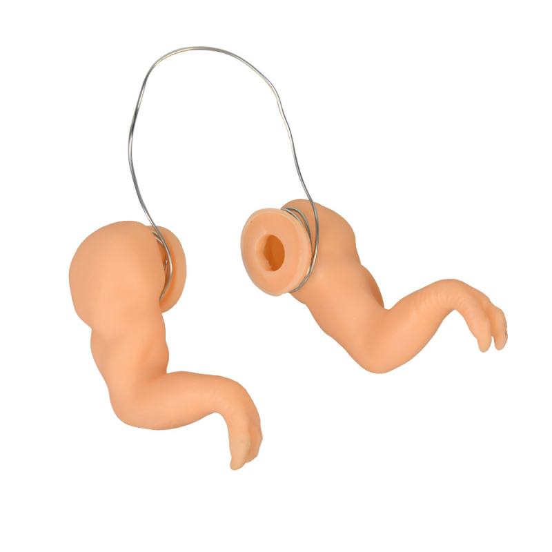 Žaislinis „Crossbridge Chicken Arm“ dinozaurų ranka, raumenų ranka, augintinis, Cole, antis, papūga, universalus dekoratyvinis rankinis žaislas augintiniui