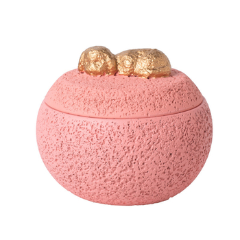 Τεφροδόχος κηδείας κατοικίδιων ζώων, κουτί αναμνηστικών για μετά τη φροντίδα γάτας και σκύλου, τεφροδόχος, κουτί αποθήκευσης αποτέφρωσης, είδη κηδείας διασυνοριακά