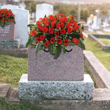 Tarpvalstybinė užsienio balno kapinių gėlė, drakono valties galvos gėlė, pavasarinis pumpuras, rožė, viena tinkama užsienio kapinių gėlė, dekoratyvinė gėlė