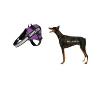 Γιλέκο με λουρί για σκύλους μεσαίου και μεγάλου μεγέθους, κατάλληλο για Border Collie, Golden Retriever, French Bulldog, αντιολισθητικό, ανακλαστικό για νυχτερινό περπάτημα