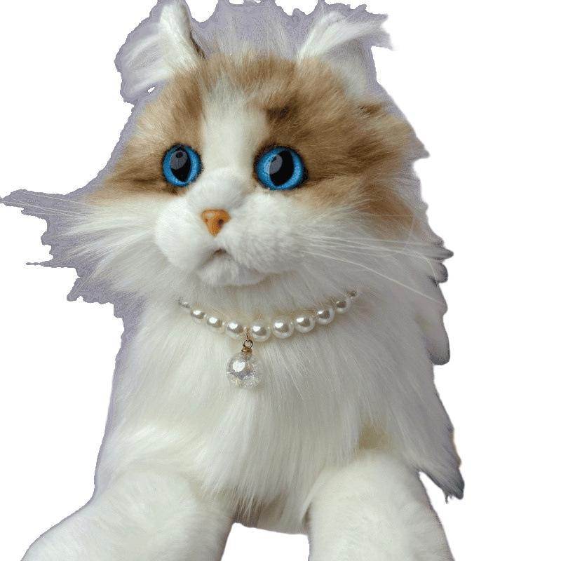 Internetikuulsuste kassikaelarihm, luksuslik armas ja nägus fotokaunistus, koerte pärlkaelakee hulgimüügist otsemüük