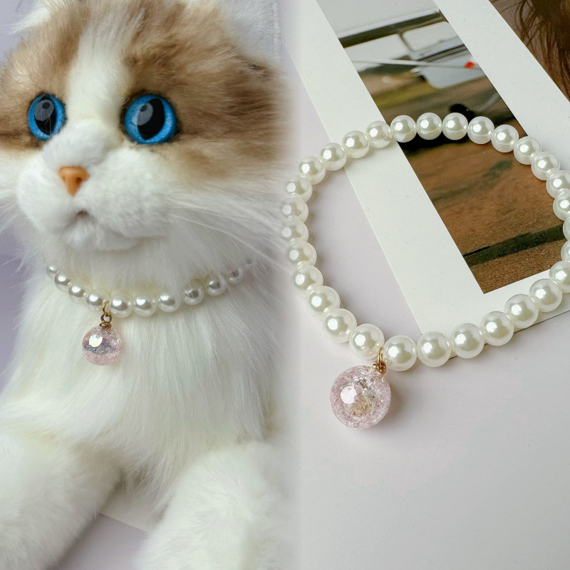 Internetikuulsuste kassikaelarihm, luksuslik armas ja nägus fotokaunistus, koerte pärlkaelakee hulgimüügist otsemüük