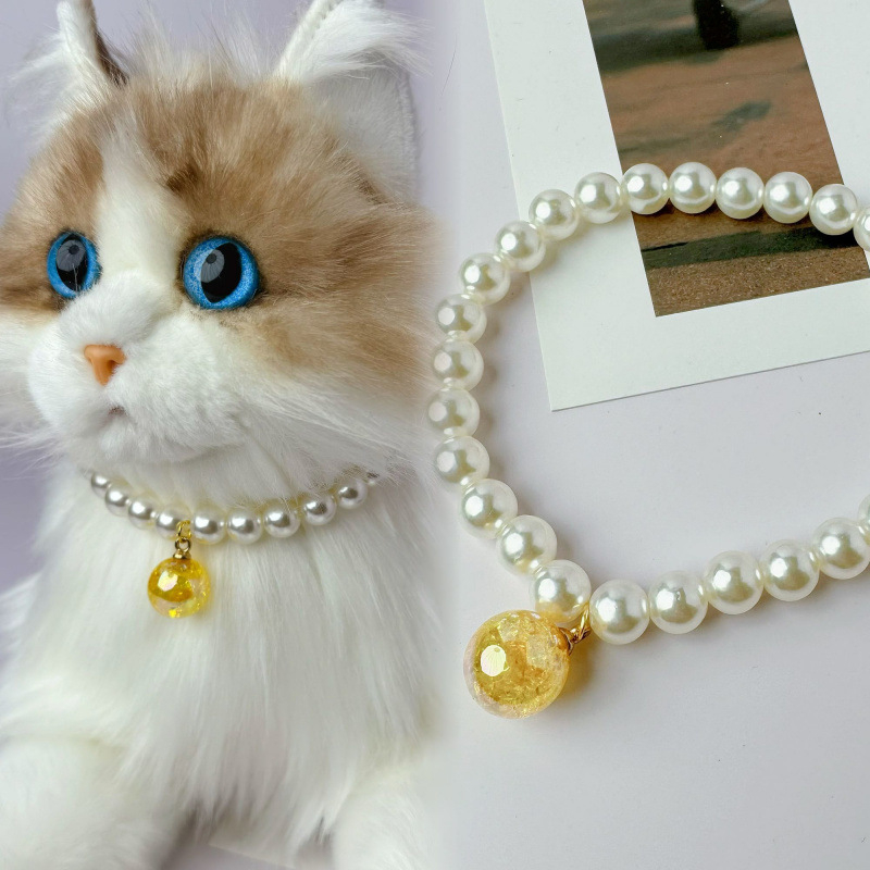 Internetikuulsuste kassikaelarihm, luksuslik armas ja nägus fotokaunistus, koerte pärlkaelakee hulgimüügist otsemüük