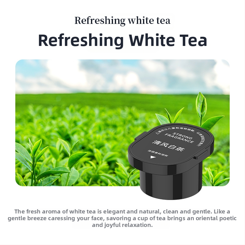 Kalnu, jūras, mākoņu un miglas automašīnas aromāts 2024. gada jaunās automašīnas smaržas, interjera dekorēšanas aromāts, automašīnas smaržu difuzors