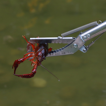 Клипс за улов на лоуч Lasting Loach Monopterus Albus, щипка за змиорка от неръждаема стомана, противоплъзгащ се, артефакт за морски улов, специален за раци и омари