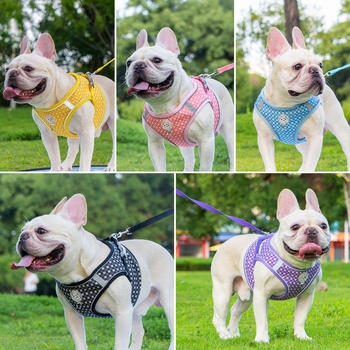 25 évnyi európai és amerikai, határokon átnyúló, nagy forgalmú francia bulldog hám robbanásbiztos húzópóráz macskák és kutyák sétáltatásához, nem szorító póráz kisállatoknak