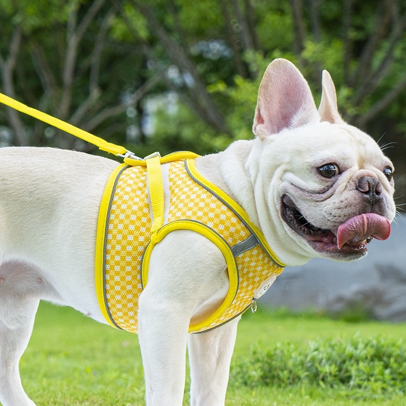 25 évnyi európai és amerikai, határokon átnyúló, nagy forgalmú francia bulldog hám robbanásbiztos húzópóráz macskák és kutyák sétáltatásához, nem szorító póráz kisállatoknak