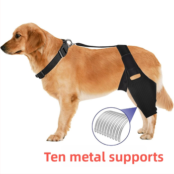 Наколенка за кучета Amazon, колянна става за кучета, предна кръстна връзка за домашни любимци, крак за домашни любимци, защита от скъсване на връзки, рехабилитационен колан за разединяване на ставите