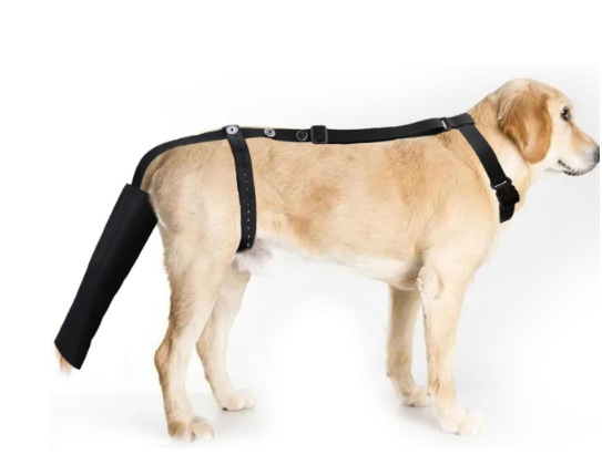 Наколенка за кучета Amazon, колянна става за кучета, предна кръстна връзка за домашни любимци, крак за домашни любимци, защита от скъсване на връзки, рехабилитационен колан за разединяване на ставите