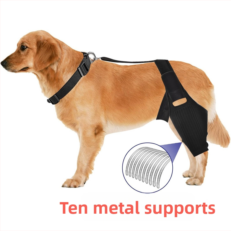 Наколенка за кучета Amazon, колянна става за кучета, предна кръстна връзка за домашни любимци, крак за домашни любимци, защита от скъсване на връзки, рехабилитационен колан за разединяване на ставите