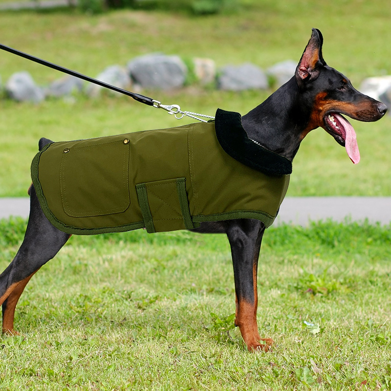 Amazoni populaarne lemmikloomade koerajakk, puuvillane mantel, Car Hartti sama stiiliga mantel, vastupidav, külmakindel, Kaha