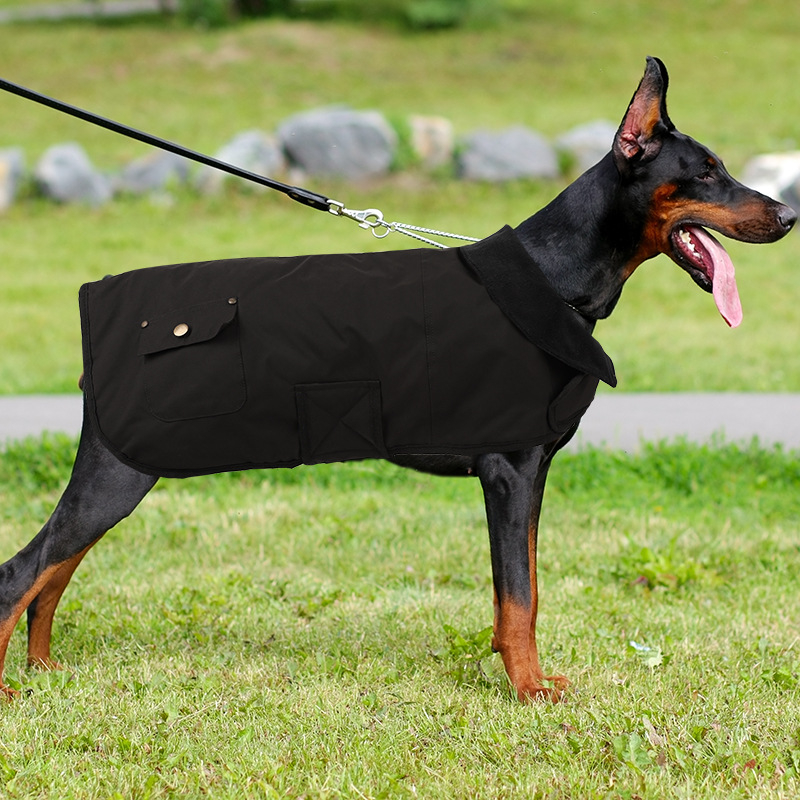 Amazoni populaarne lemmikloomade koerajakk, puuvillane mantel, Car Hartti sama stiiliga mantel, vastupidav, külmakindel, Kaha