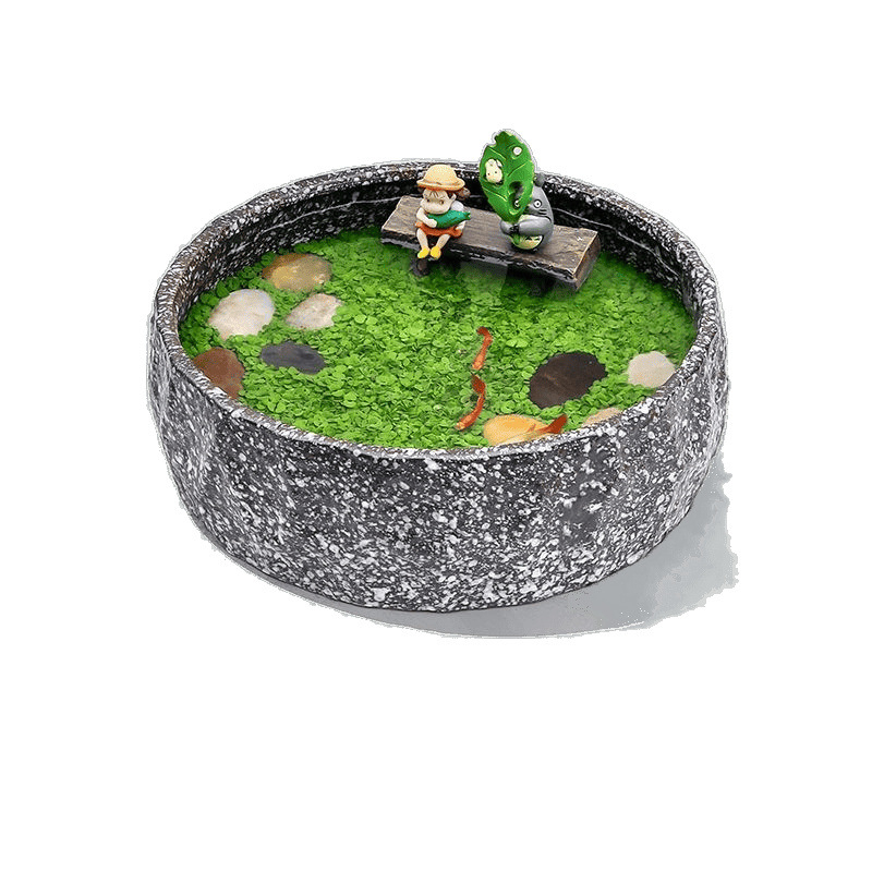 Senovinis metodas, cilindras, mikropeizažas, pasaka, kraštovaizdžio papuošalai, maži namų ūkiai, kūrybingi ekologiški vandens augalai, dekoratyviniai hidroponiniai augalų peizažai