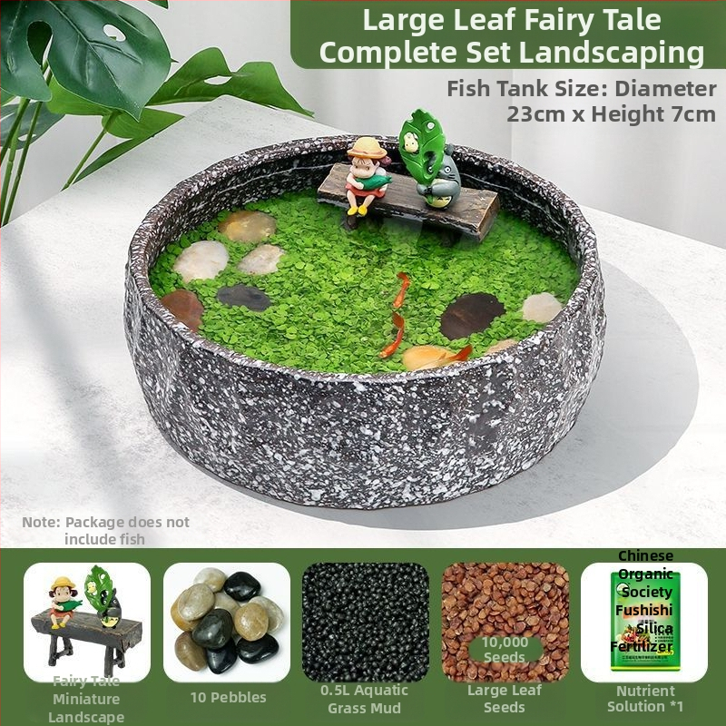 Senovinis metodas, cilindras, mikropeizažas, pasaka, kraštovaizdžio papuošalai, maži namų ūkiai, kūrybingi ekologiški vandens augalai, dekoratyviniai hidroponiniai augalų peizažai