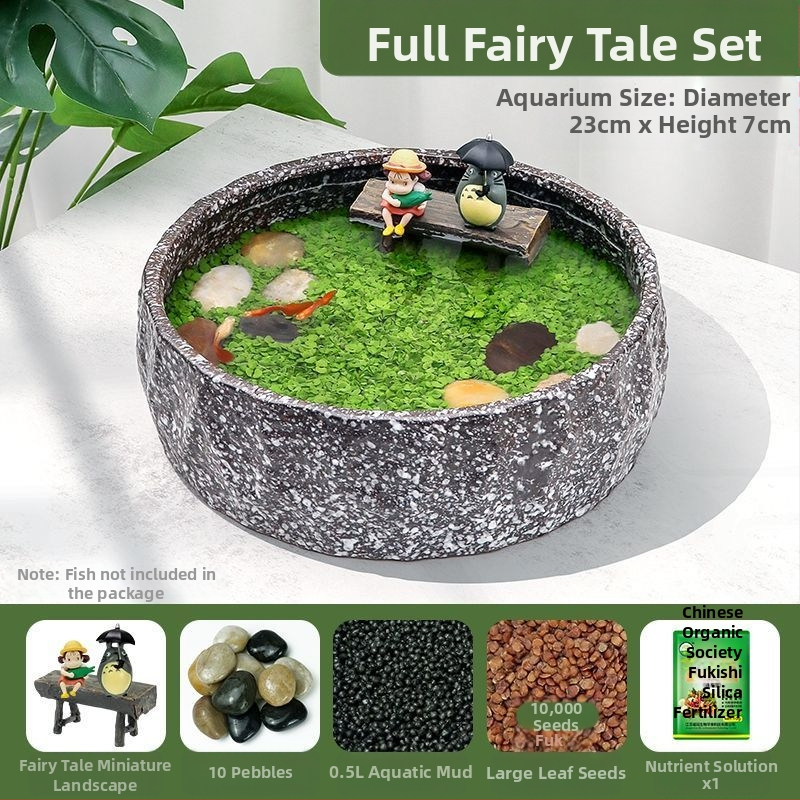 Senovinis metodas, cilindras, mikropeizažas, pasaka, kraštovaizdžio papuošalai, maži namų ūkiai, kūrybingi ekologiški vandens augalai, dekoratyviniai hidroponiniai augalų peizažai