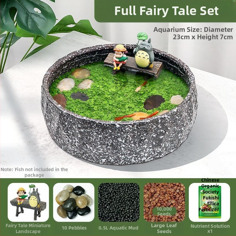 Senovinis metodas, cilindras, mikropeizažas, pasaka, kraštovaizdžio papuošalai, maži namų ūkiai, kūrybingi ekologiški vandens augalai, dekoratyviniai hidroponiniai augalų peizažai