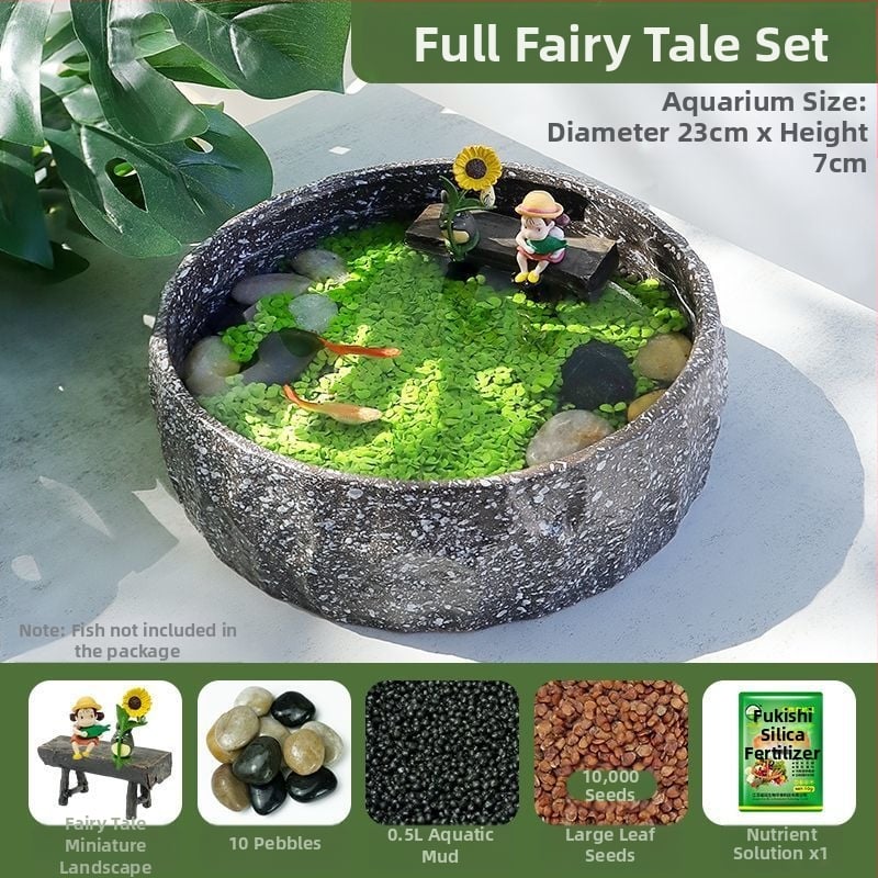 Senovinis metodas, cilindras, mikropeizažas, pasaka, kraštovaizdžio papuošalai, maži namų ūkiai, kūrybingi ekologiški vandens augalai, dekoratyviniai hidroponiniai augalų peizažai