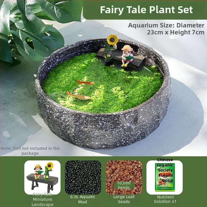 Senovinis metodas, cilindras, mikropeizažas, pasaka, kraštovaizdžio papuošalai, maži namų ūkiai, kūrybingi ekologiški vandens augalai, dekoratyviniai hidroponiniai augalų peizažai