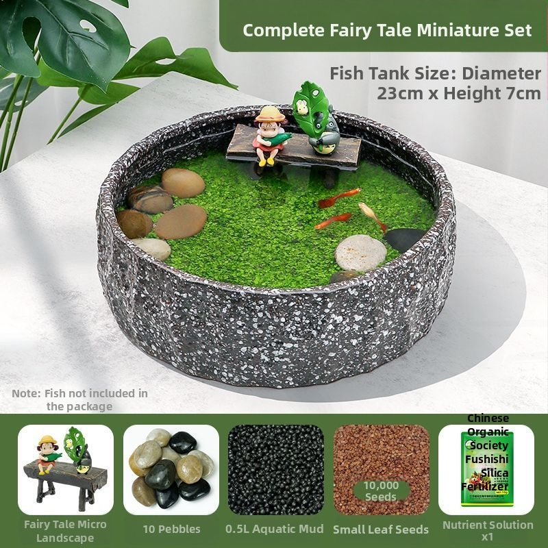 Senovinis metodas, cilindras, mikropeizažas, pasaka, kraštovaizdžio papuošalai, maži namų ūkiai, kūrybingi ekologiški vandens augalai, dekoratyviniai hidroponiniai augalų peizažai