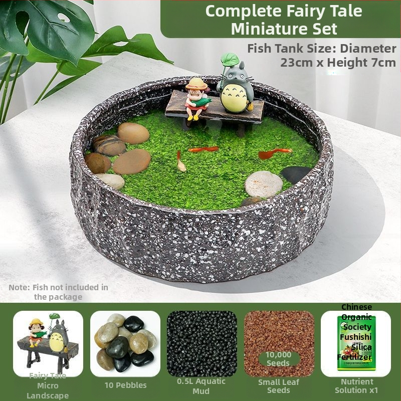 Senovinis metodas, cilindras, mikropeizažas, pasaka, kraštovaizdžio papuošalai, maži namų ūkiai, kūrybingi ekologiški vandens augalai, dekoratyviniai hidroponiniai augalų peizažai