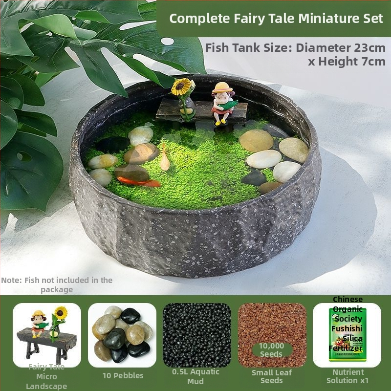 Senovinis metodas, cilindras, mikropeizažas, pasaka, kraštovaizdžio papuošalai, maži namų ūkiai, kūrybingi ekologiški vandens augalai, dekoratyviniai hidroponiniai augalų peizažai