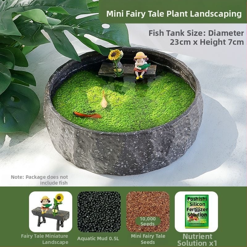 Senovinis metodas, cilindras, mikropeizažas, pasaka, kraštovaizdžio papuošalai, maži namų ūkiai, kūrybingi ekologiški vandens augalai, dekoratyviniai hidroponiniai augalų peizažai