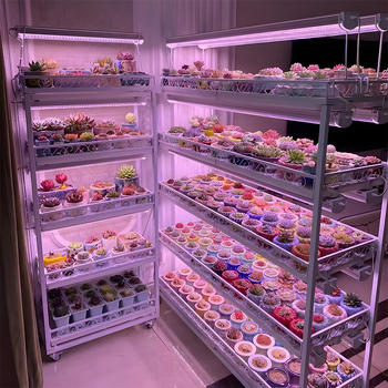 Augalų lempa T20 viso spektro augimo lempa sukulentų lempa žaliųjų augalų papildoma šviesa LED gėlių augalų augimo lempa