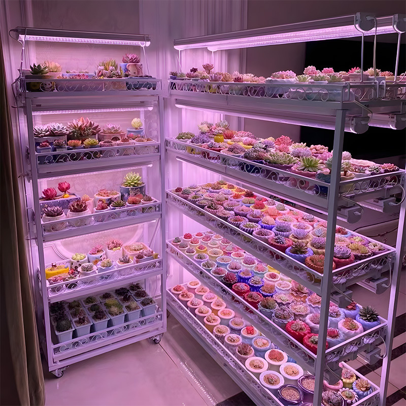 Augalų lempa T20 viso spektro augimo lempa sukulentų lempa žaliųjų augalų papildoma šviesa LED gėlių augalų augimo lempa