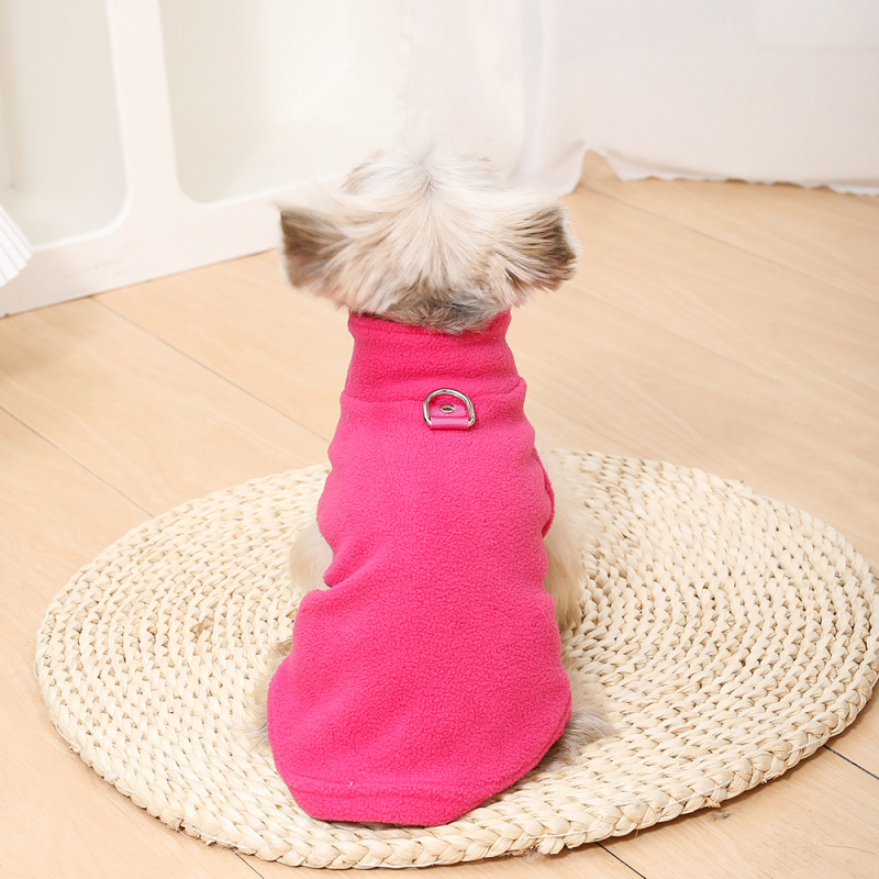 Uued lemmikloomade riided Euroopas ja Ameerikas Amazoni lemmikloomade riided Bichoni koerale paksendatud puhta värvi vöö veojõu fliisist