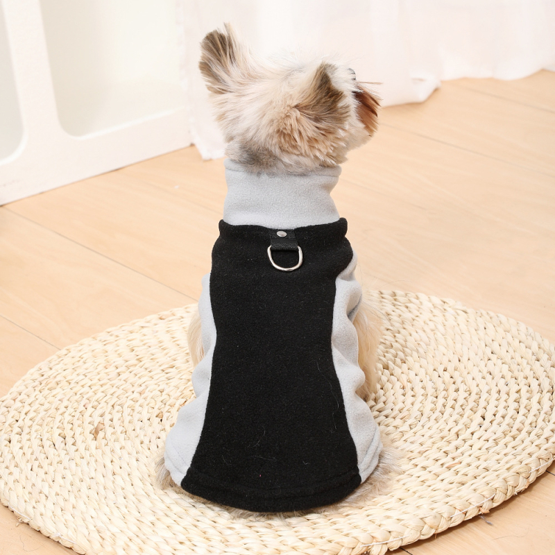 Uued lemmikloomade riided Euroopas ja Ameerikas Amazoni lemmikloomade riided Bichoni koerale paksendatud puhta värvi vöö veojõu fliisist