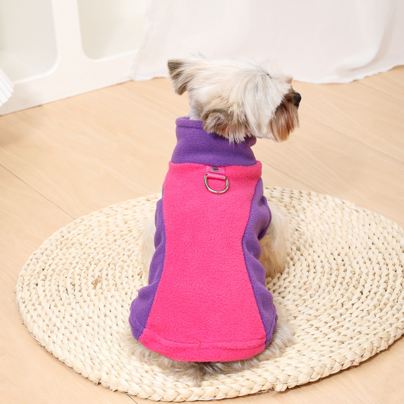 Uued lemmikloomade riided Euroopas ja Ameerikas Amazoni lemmikloomade riided Bichoni koerale paksendatud puhta värvi vöö veojõu fliisist