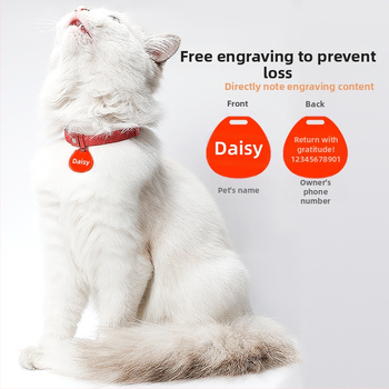 Κολάρο γάτας κατά της ασφυξίας, κατά της απώλειας, μάρκα γάτας, ελαστικό για κατοικίδια, ελαφρύ, ασφαλείας, κολάρο γάτας, ετικέτα για γατάκια