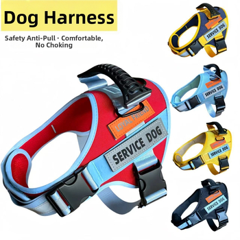 Koerarihm, Lemmiklooma rakmed, Vest-stiilis plahvatuskindel, Mittepingutav, Helkur koerarihm, Labrador