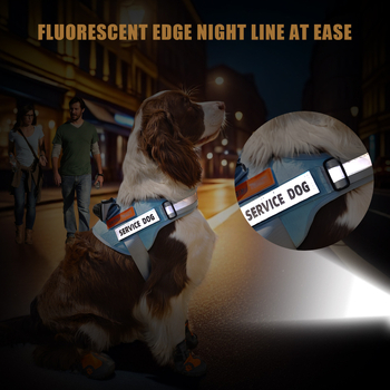 Koerarihm, Lemmiklooma rakmed, Vest-stiilis plahvatuskindel, Mittepingutav, Helkur koerarihm, Labrador