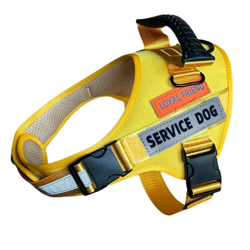 Koerarihm, Lemmiklooma rakmed, Vest-stiilis plahvatuskindel, Mittepingutav, Helkur koerarihm, Labrador