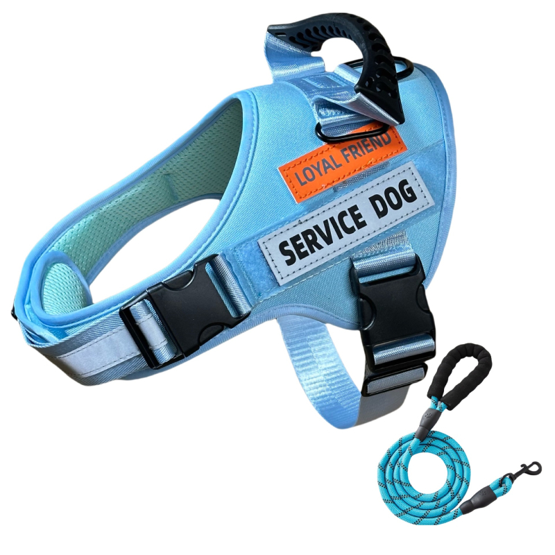 Koerarihm, Lemmiklooma rakmed, Vest-stiilis plahvatuskindel, Mittepingutav, Helkur koerarihm, Labrador