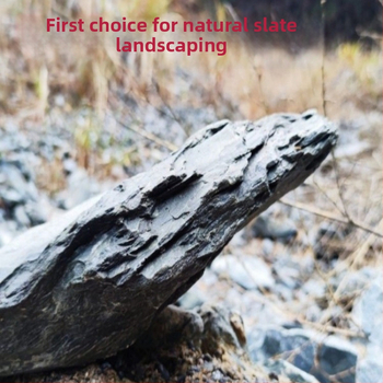 Πρωτότυπος κυλινδρικός σχιστόλιθος τοπίου πέτρα κύρια πέτρα χελώνα ηλιόλουστο τραπέζι ενυδρείου διακόσμηση τοπίου οικολογικό ρέμα πρωτότυπη πέτρινη γαρίδα και χελώνα τίγρης